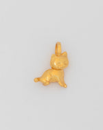 Gato